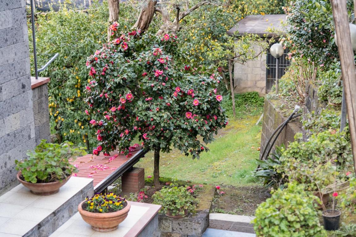 Sorrentovibes - Sea View Rooftop Apartment With Jacuzzi & Garden Exterior foto